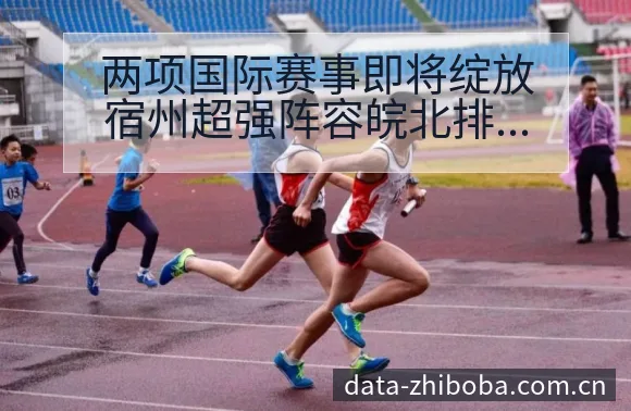 两项国际赛事即将绽放宿州超强阵容皖北排名变化与后续走势赛 - NBA直播
