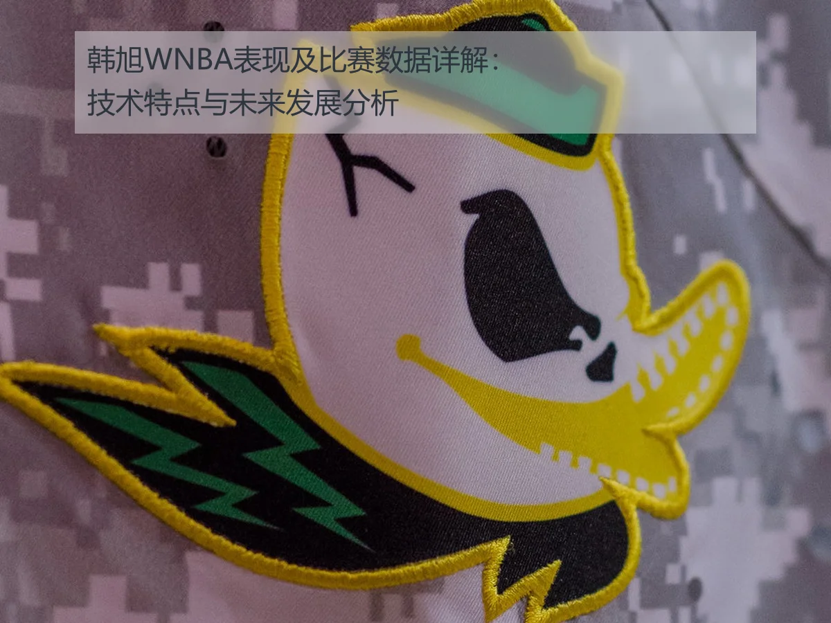 韩旭WNBA表现及比赛数据详解：技术特点与未来发展分析